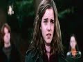 Harry/Hermione What I\