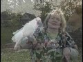 Cockatoo Free-Flight Cockatoo Free-Flight