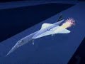 Concorde Plane Crash pt 4