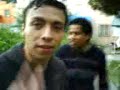 alf y palan
