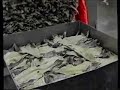 Sea Star Seafoods Fishplant 1998 Sea Star Seafoods Fishplant 1998