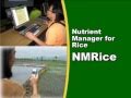 A mobile phone and internet service to help Filipino farmers manage rice crop nutrients