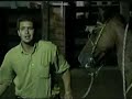 Tombo de cavalo 1x0 cavalo