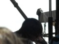 danger radio at bamboozle