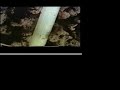 Organic Matter power point movies.mov Organic Matter power point movies.mov