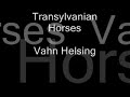 Transylvanian Horses