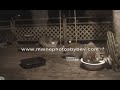 8 Raccoons Eating
