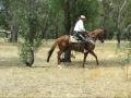 Derwent Re Diva #ASH C1-186062.wmv