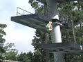 Aaron Dive Platform Aaron Dive Platform