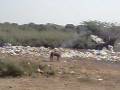 videos de Umeed Foundation