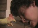 Night of the Rubber Chicken Trailer 2 (SOLAR ENTERTAINMENT)