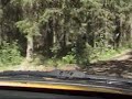 2wd rallispecial saukkola ek3