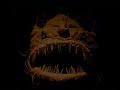 Top 10 najohydniejszych ?yj?cych ryb! | Top Ten Ugly Fish Top 10 najohydniejszych ?yj?cych ryb! | Top Ten Ugly Fish