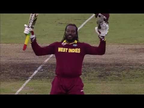 WI vs ZIM: Gayle storm hits Zimbabwe. Watch ICC World Cup videos on starsports.com