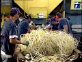 Conhe�a a usina de reciclagem de lixo