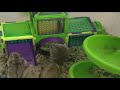 hamster city