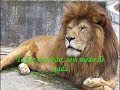 Voz da Verdade - Coragem