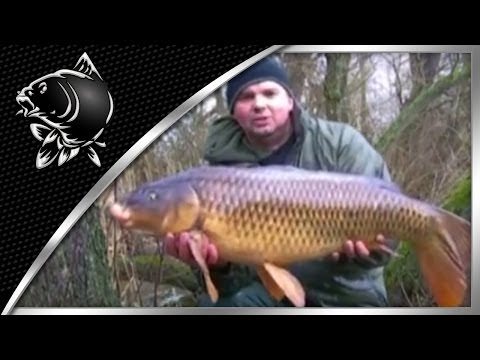 NASH TV : RAW! - NICKS WINTER CARPING DIARY PART 5 - NASH TACKLE CARP FISHING VIDEOS - NICK BURRAGE_Best fishing videos of the week