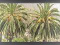 Canarias