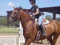 Working On Turns and Equitation