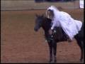 Stacy Westfall 2005 Reining Freestyle