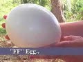An