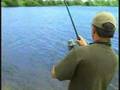 korda carp fishing