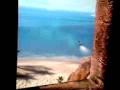 videos de VIDEO0045.mp4