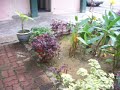 Taman Herba Taman Herba