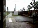 Rock Train With Five SD40-2\