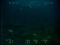 Acoustic and ROV Survey Techniques: Part II