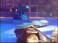 Constrictor (Robot Wars Battles)