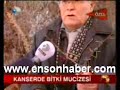 kanser tedavi ensonhaber.com