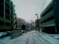 初雪です。