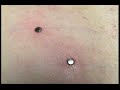 Anomaly Body Piercing Anomaly Body Piercing