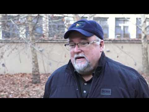 СТАЊЕ ПШЕНИЦЕ У ДОБРОЈ ФАЗИ