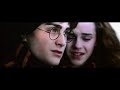 harry  loves hermione... but