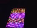 Norfolk Botanical Gardens LED Light Show