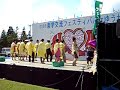 2005 AIU祭－仮装コンテスト「ライオンキング」