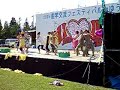 2005 AIU??????????????????