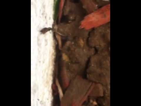 lelizondob - Video created with the Socialcam app on iPhone: http://socialcam.com.