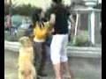 videos de neneconfacha golpea a .com/faachanotengo