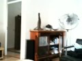 iPhone 3GS videocamera demo