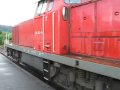 Railion 294 (@ Schwarzwaldbahn )