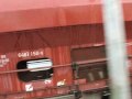 Railion 294 (@ Schwarzwaldbahn )