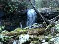 Pine Ridge Falls, Cherokee National Forest, TN
