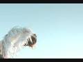 videos de HAIKU proyectual 2