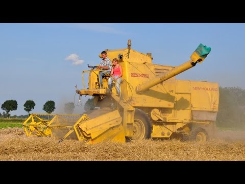 New Holland Clayson 135 - tarwe dorsen