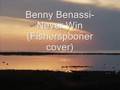 Benny Benassi- Never Win ( Fisherspooner cover)