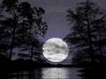 luna duerme-oceransky
